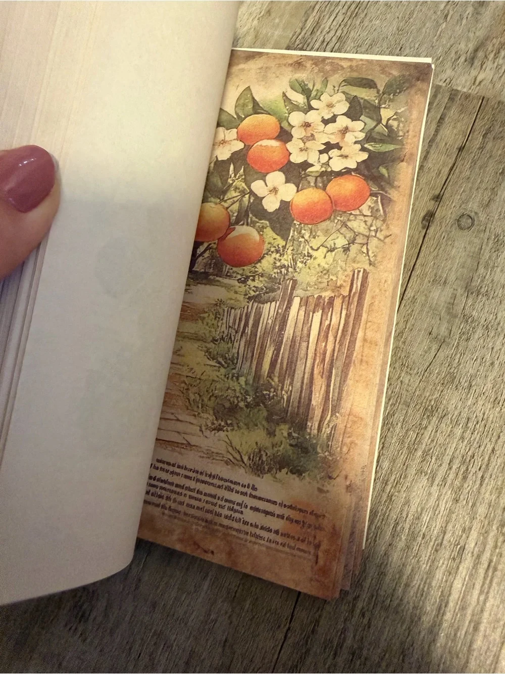 Scrap Paper - Picture 5 of 6